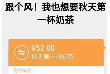 爆火的奶茶梗，你有知道其中的小秘密嗎？